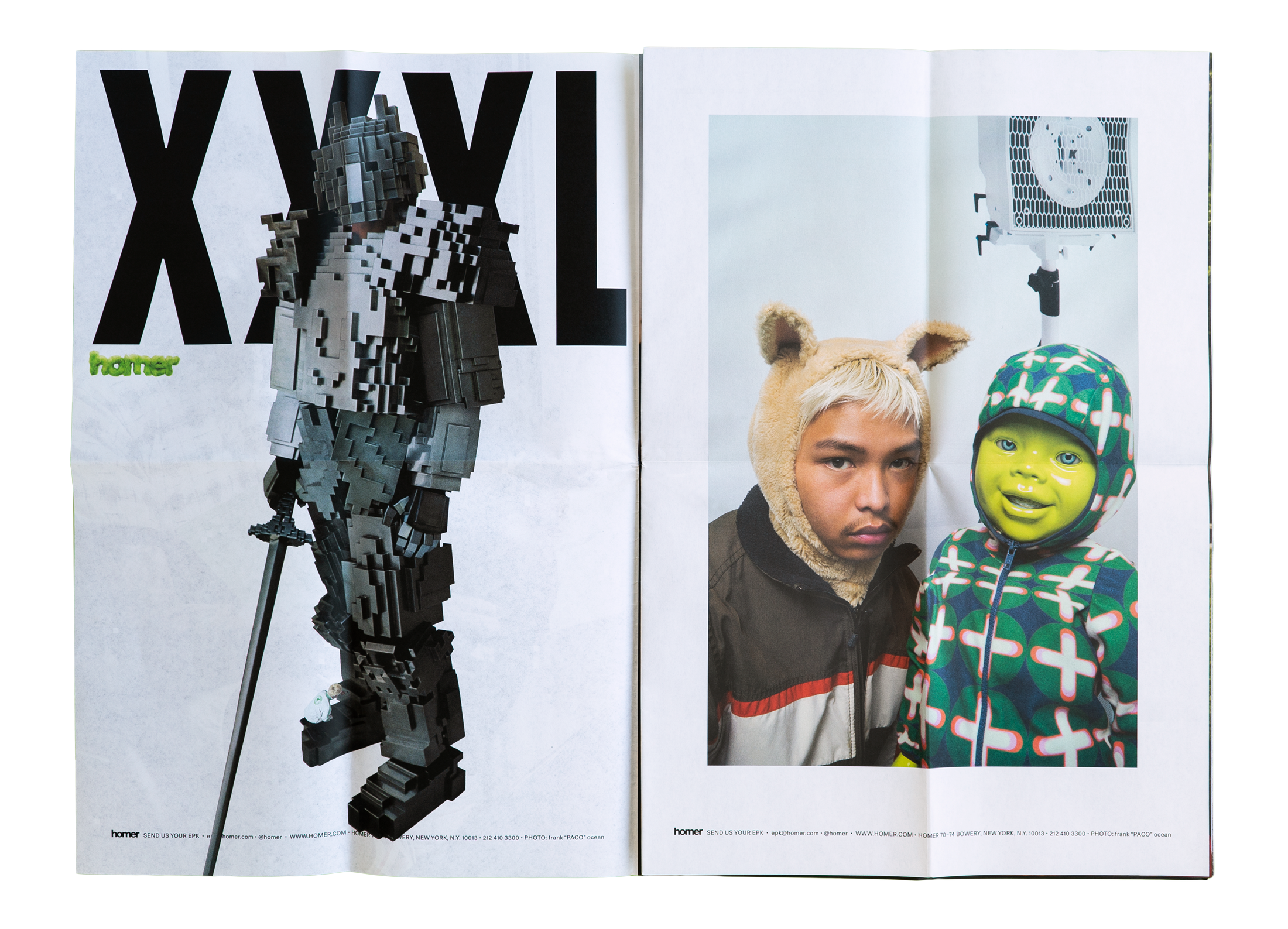 A detail view of ‘XXXL: When A Dog Comes To Stay’